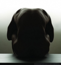 Marcus Mok男性人体摄影作品