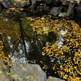 大雁塔人像习作。