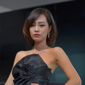 车展上的惊艳（3）