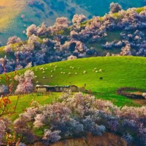 这才是新疆真正的绝世美景，只有1%的人去对了