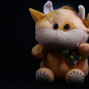 天冷了 窝在家里拍静物（放着不知道何适不）