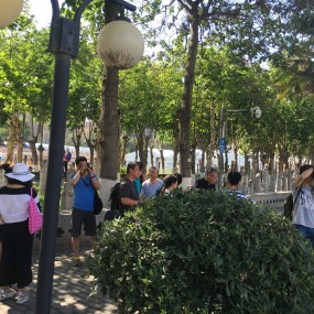 初级摄影班最后一次外拍花絮大放送