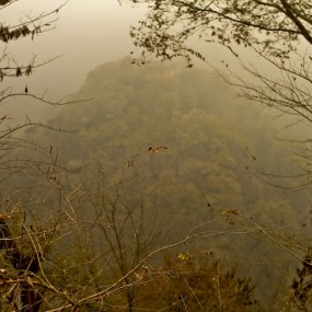 秋韵（二）秋的思恋