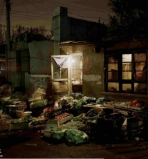 百姓们的戏院 变化之中的城市