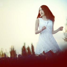 《The memory of the purple》