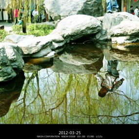 我是新手在青龙寺拍照！