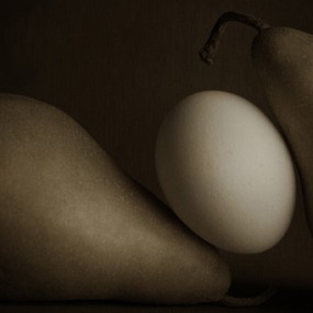 优秀静物摄影展（二）