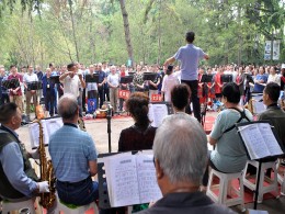 红歌响彻丰庆公园红军林