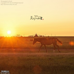 馬背上的天堂·呼倫貝爾