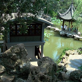 园林美景—苏州狮子林