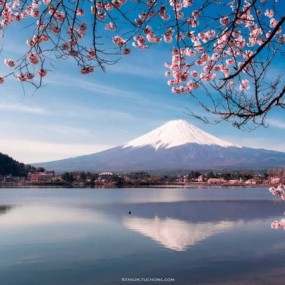 烟霭湖光中体会心静如水