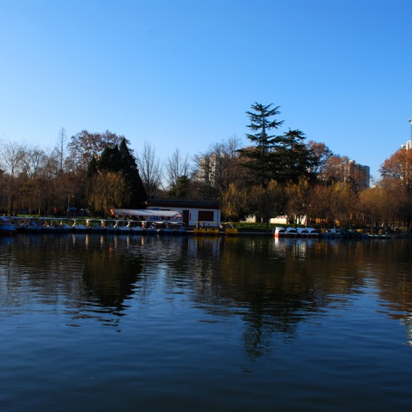 为我的D60哀悼！现在他还在兴庆湖底！