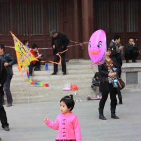 我眼中的青龙寺花絮