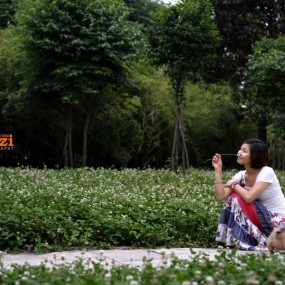 不同校准测试的一组片子