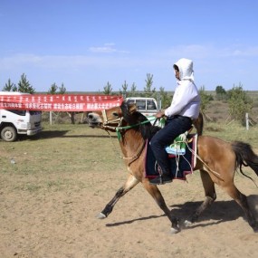内蒙古那达慕大会