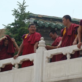 [原创秋天的回忆]我的青海行