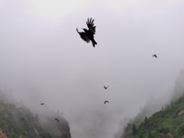 扎尕那 - 甘南最后一片“世外桃源”