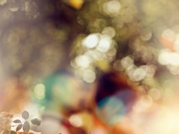 “光合流年36”小雅风尚婚纱摄影