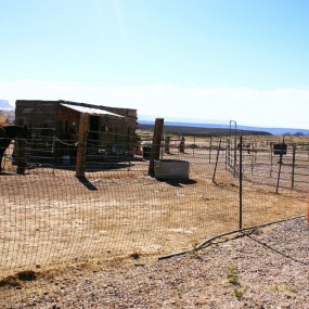 美国西部牛仔和他的骏马——