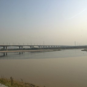 渭河边上的芦苇荡的悠然