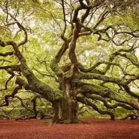 世界上最诱惑的14张照片，美哭了！