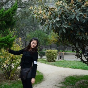 10月28日南门外拍-色温练习