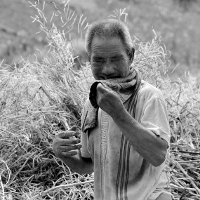 西部乡村影像（75）