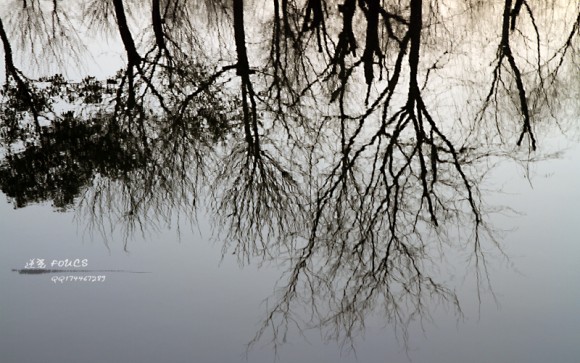 留下一个无关痛痒的倒影