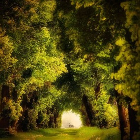 Piotr Krol 风光摄影作品