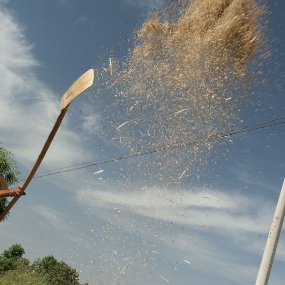 当我们端起沉甸甸一碗面时   36°的关中