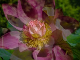 不成熟的二曝产品（二）