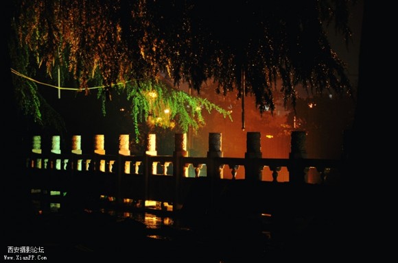 刚刚拍的，大家给我教教，谢谢