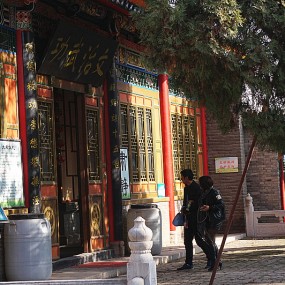 【随拍】冬日，闲游周陵