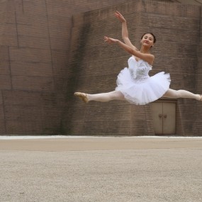 丹凤门下的跨越