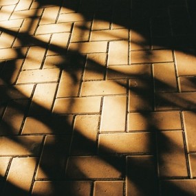 当草不在绿~~~~~~~~~~~~~