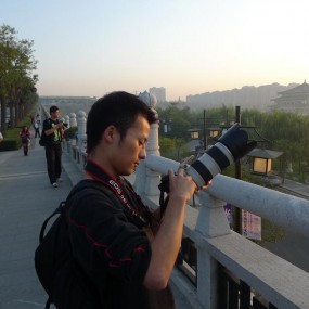 大象、猪猪可是？？？