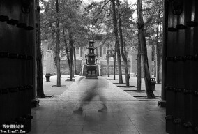 Tomasz Gudzowaty 纪实摄影作品