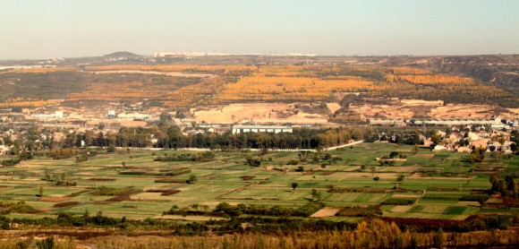 老袁习作（20）