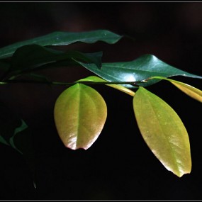 学习用光的艺术！