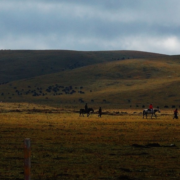 国庆 甘南第二季