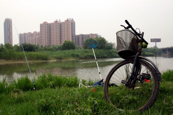 沣河堤上的片片