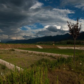 长安黄昏，自然甚之