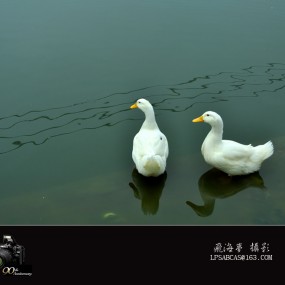 危险时刻见真情