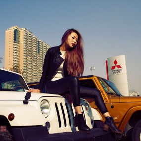 伊势威吉普车模一组