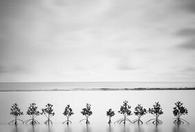 Chaerul Umam 黑白风光摄影作品欣赏