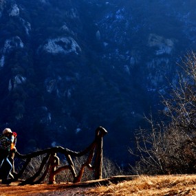翠华山里觅光影