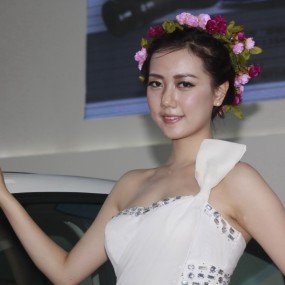 明媚靓丽、纯洁高贵的雪铁龙花仙子