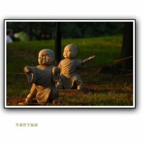 新手报到  发一组随拍