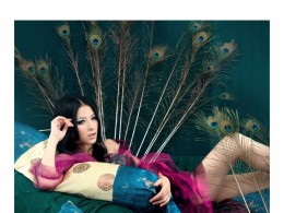 孔雀翎旁凝思的你