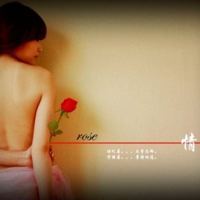 玫瑰不等于情人